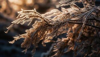 Frost on leaf shows beauty in nature generated by AI photo