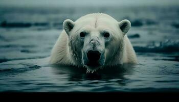 Wet arctic mammal reflects beauty in nature generated by AI photo