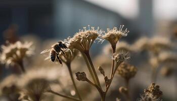 The honey bee pollinates the single flower in the meadow generated by AI photo