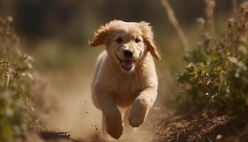 Playful puppy running in nature, happiness and friendship abound generated by AI photo