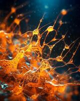 Close up of microscopic brain neurons. photo