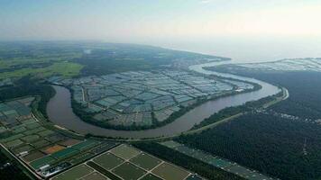 aereo Visualizza pesce, gamberetto azienda agricola vicino il kerian fiume a Penang video