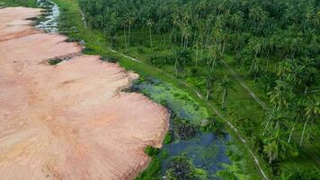 Aerial view red sand soil after land clearing near palm tree at Malaysia video