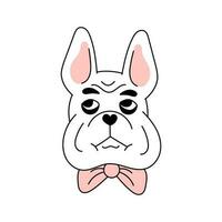 French Bulldog Portrait vector