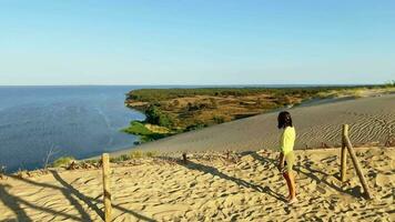 congnitivo sentiero nel nagliai Riserva nel curonian sputo. femmina turista nel panoramico curonian sputare panoramico punto di vista nel Riserva circondato. Lituania famoso viaggio destinazione video