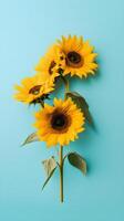 Sunflower Dreams Delightful Blend of Yellow and Sky Blue in a Minimalist Style Generative Ai photo