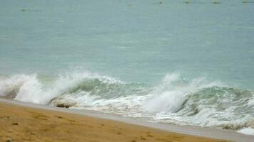 bellissimo onda su il spiaggia, chiaro acqua, bianca sabbia a Andamane mare Phuket Tailandia. video