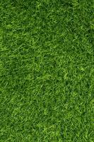 Green grass texture background grass garden concept used for making green background football pitch, Grass Golf, green lawn pattern textured background.. photo