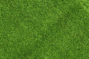 fondo de textura de hierba verde concepto de jardín de hierba utilizado para hacer campo de fútbol de fondo verde, golf de hierba, fondo de textura de patrón de césped verde.. foto