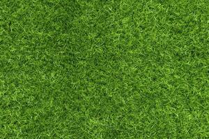 Green grass texture background grass garden concept used for making green background football pitch, Grass Golf, green lawn pattern textured background.. photo