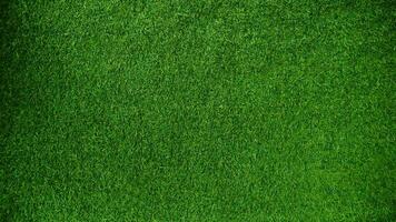 Green grass texture background grass garden concept used for making green background football pitch, Grass Golf, green lawn pattern textured background..... photo