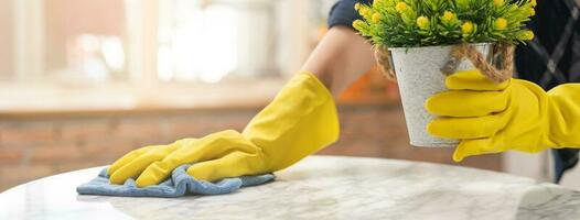 Cleaning hygiene, hand of maid, waitress woman wearing yellow protective gloves while cleaning , take out flowerpot from table and using blue rag wiping to dust. Housekeeping clean up, cleaner. photo