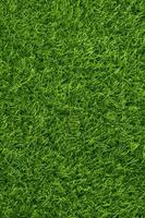 Green grass texture background grass garden concept used for making green background football pitch, Grass Golf, green lawn pattern textured background.. photo