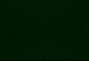 Green velvet fabric texture used as background. green fabric background of soft and smooth textile material. There is space for text. photo