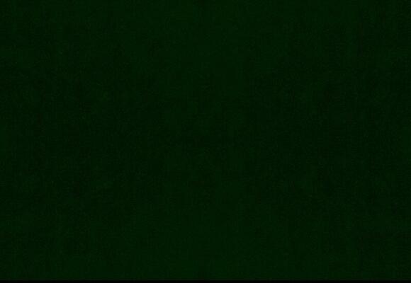 Hunter Green Stock Photos, Images and Backgrounds for Free Download