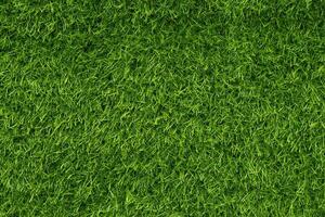 Green grass texture background grass garden concept used for making green background football pitch, Grass Golf, green lawn pattern textured background.. photo