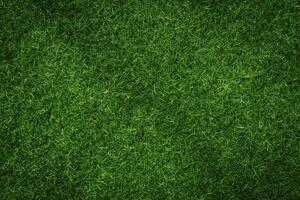 Green grass texture background grass garden concept used for making green background football pitch, Grass Golf, green lawn pattern textured background.. photo