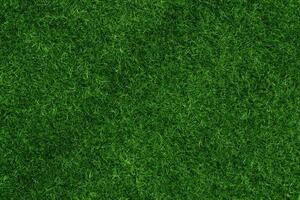 Green grass texture background grass garden concept used for making green background football pitch, Grass Golf, green lawn pattern textured background.. photo