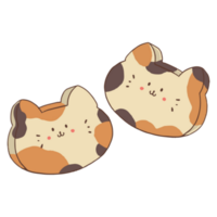 gato biscoitos face png