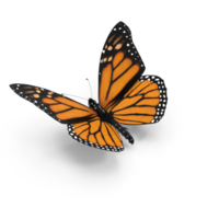 monarca farfalla volante png