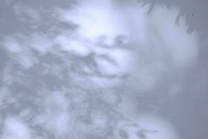 Seamless texture of white cement wall a rough surface and leaf shadow, with space for text, for a background photo
