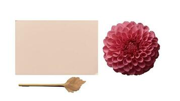 Realistic Pink Blank Paper Card Mockup with Beautiful Dahlia Flower. photo