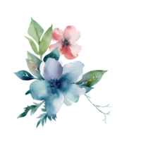 Watercolor Drawing Blossom Clementine Flowers, Leaves Arrangement of Bouquet. Vector Illustration. png