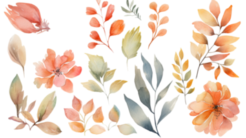 Watercolor Leaves and Flower Decorated Background. png