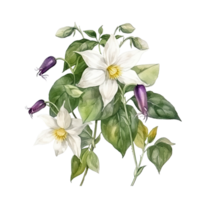 wit en Purper hibiscus bloem en bladeren arrangement voor boeket. vector illustratie. png