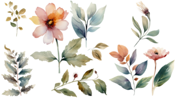 Watercolor Leaves and Flower Decorated Background. png