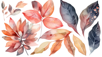 Watercolor Drawing Colorful Leaves Decorated Backgroound. png