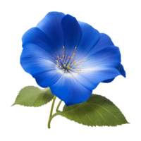 Blue Morning Glory flower floral  and green leaf png file transparent, closeup or macro by Ai generative