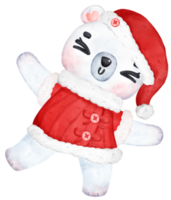 carino Natale polare orso nel Santa vestire, cartone animato acquerello illustrazione png