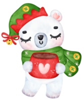 celebrar Navidad con un linda polar oso café taza. encantador dibujos animados acuarela ilustración png