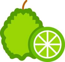 Kaffir lime Vector Icon Design