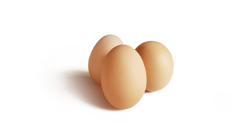 Chicken eggs isolated  PNG transparent