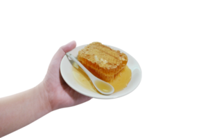 Honeycomb on a plate in hand  . Honey flows out of a honeycomb into a plate. PNG transparent