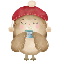 Owl with hot cocoa Hand drawn water color illustration png