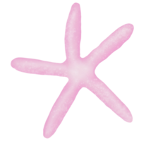 Starfish hand drawn pastel water color illustration png