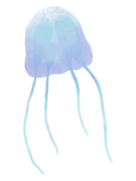 gelé fisk vatten Färg pastell hand dragen illustration png