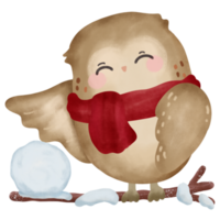 Natale gufo palla di neve mano disegnato illustrazione acqua colore pastello png