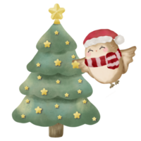 coruja decoração Natal árvore mão desenhado água cor ilustração png