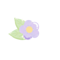 cosmos flores elementos dibujado a mano dibujo acuarela ilustración png