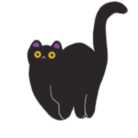 Black cat with yellow eyes handdrawn drawing illustration halloween png