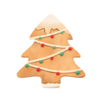 Christmas tree cookie hand drawn illustration water color png