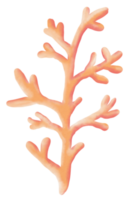 Underwater coral hand drawn pastel watercolor illustration png