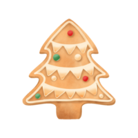 Christmas tree cookie hand drawn illustration water color png