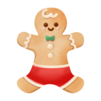 Gingerbread man cookies hand drawn water color illustration png