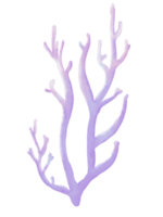 Underwater coral hand drawn pastel watercolor illustration png