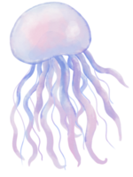 Jelly Fish water color pastel hand drawn illustration png